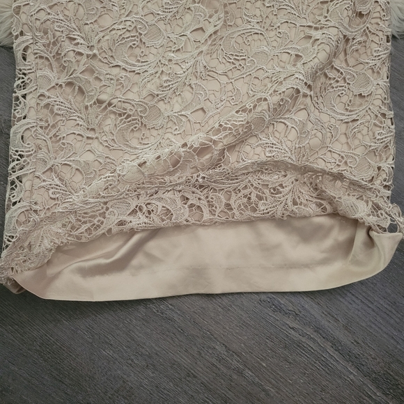 Adrianna PapellCap-Sleeve Illusion Lace Gown Size 14 - Picture 10 of 16